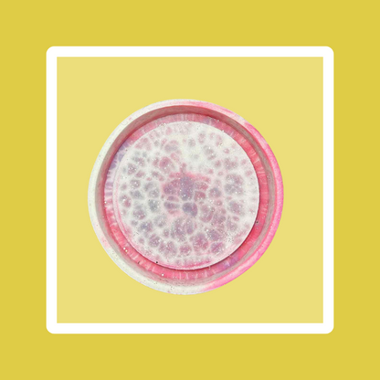 Custom Circle Cardstock Freshie